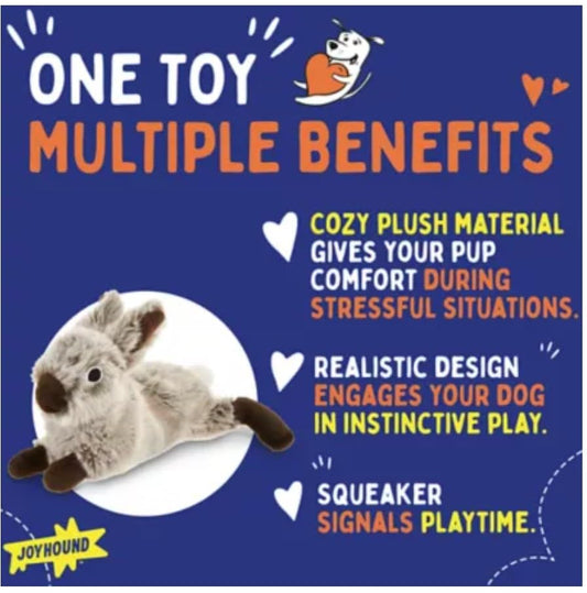 Joyhound Crazy Comfy Realistic Rabbit Flattie Dog Toy - Crinkle, Squeaker