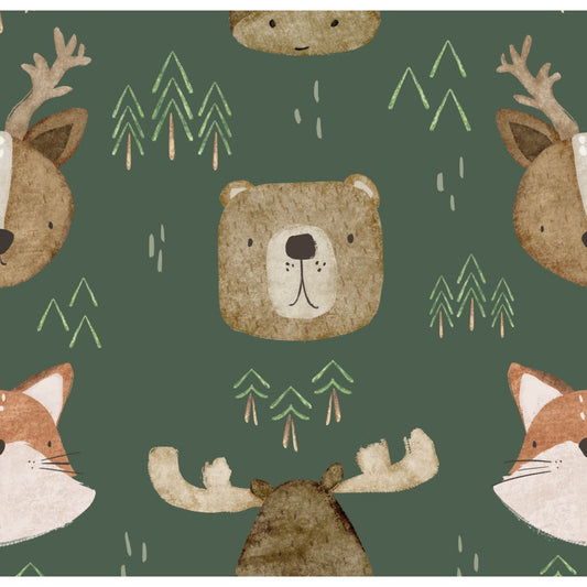 Pete + Lucy Boys Green Long Sleeve Shirt "Into the Woods" - Size 10/12