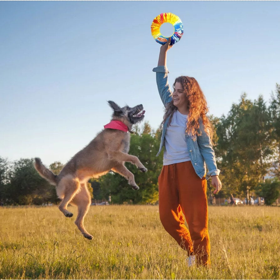NERF TPR Color Blast Flyer and Tug Dog Toys