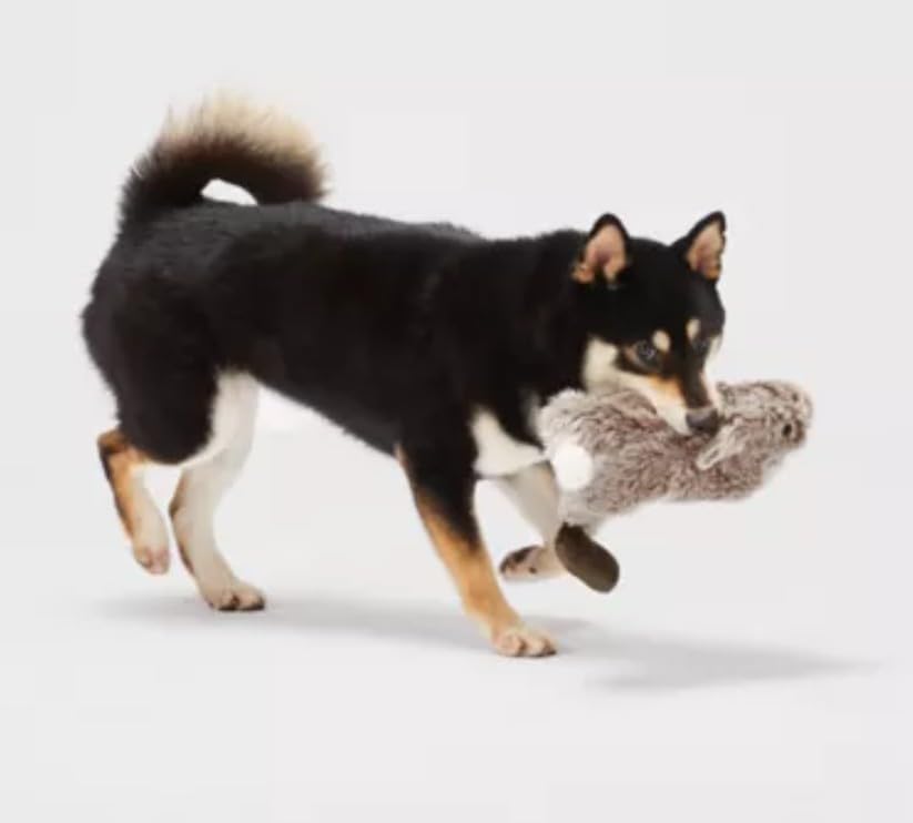 Joyhound Crazy Comfy Realistic Rabbit Flattie Dog Toy - Crinkle, Squeaker