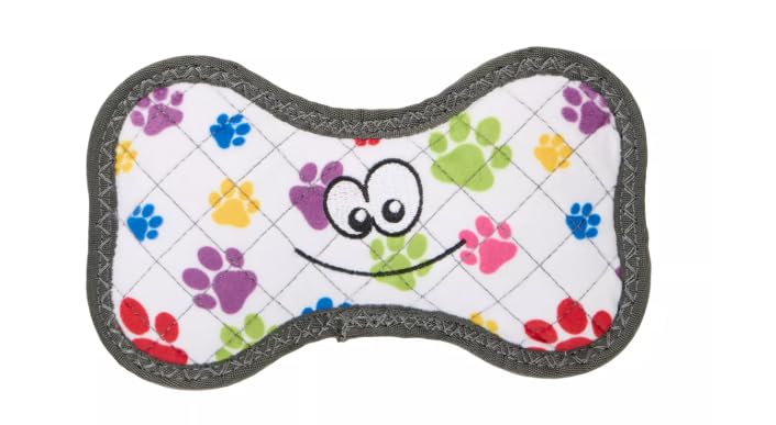 Joyhound® Rip Roarin' Rainbow Paw Bone Squeaker Dog Toy for Aggressive Chewers