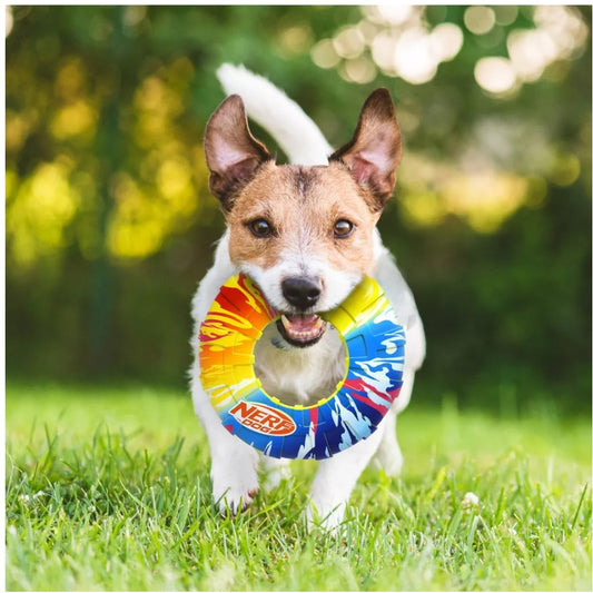 NERF TPR Color Blast Flyer and Tug Dog Toys